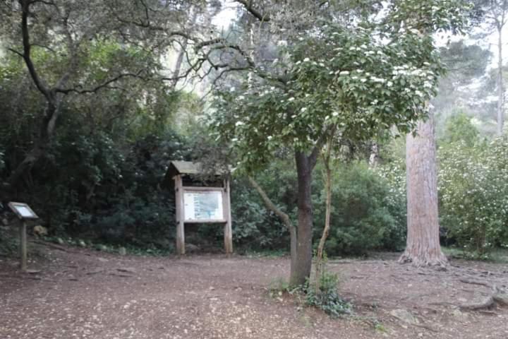 דירות Polinya de Xuquer Casa Rural Ca Xelo מראה חיצוני תמונה